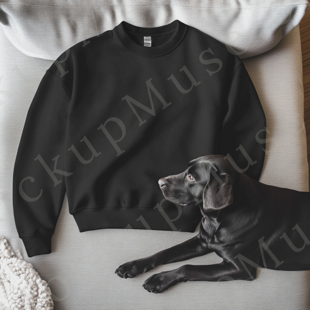 Sweatshirt Mockup – Gildan 18000 Black Unisex, Dog Lifestyle Scene – Black Labrador Retriever next to Sweatshirt digital mockup, no model, high resolution